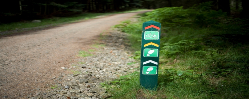 Image of trail sign showing biking and hiking trails